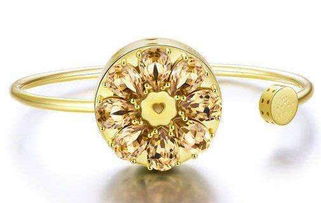 市場預(yù)期難估，智能珠寶在風口下騎虎難下——以天石傳奇化妝品為例的跨界啟示